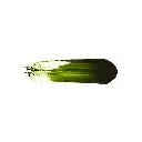 F006683_Green_Example.webp